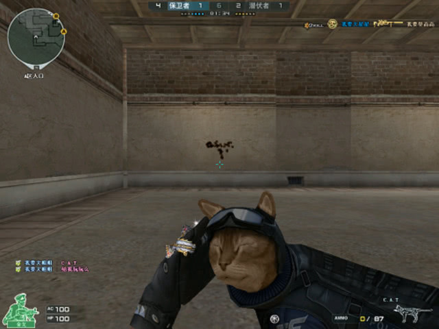 用范围与赔 用范围与赔